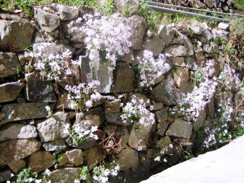 فيلا Flora'S House Spilia المظهر الخارجي الصورة